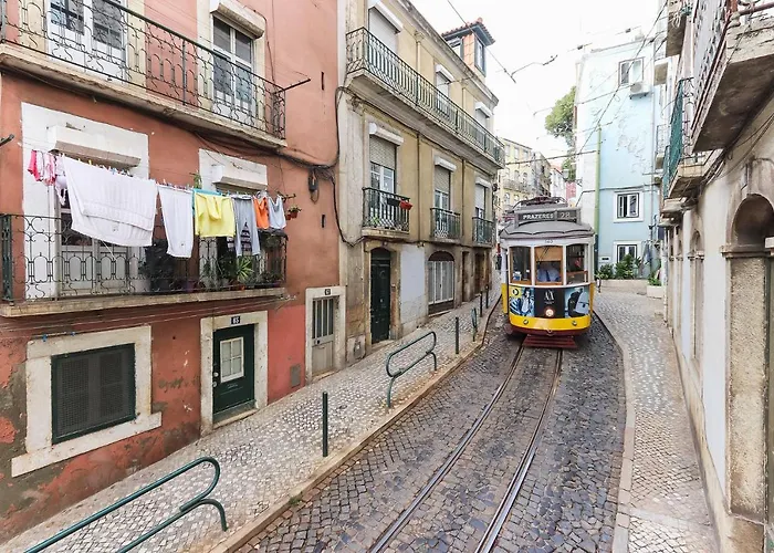 Graca Elegant By Homing *